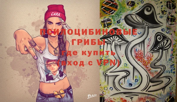 2c-b Балахна